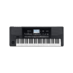 Korg PA300