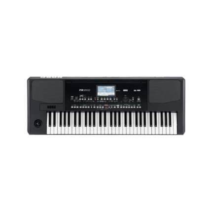 Korg PA300