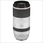 Canon RF 100-500mm f/4.5-7.1L IS USM Super Telephoto Zoom Lens - Image 2