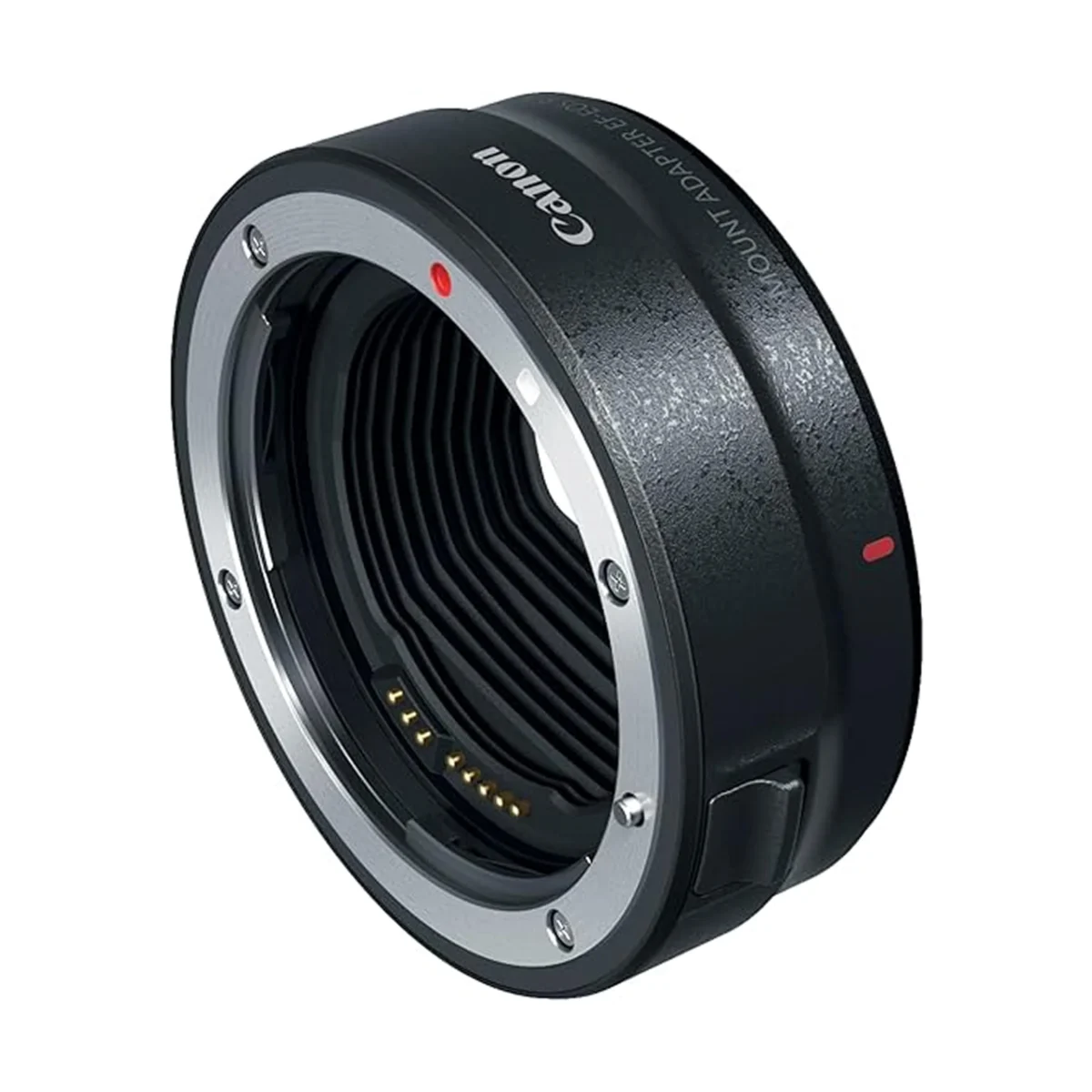 Canon EOS R5 Body With R Mount Adapter - Image 2