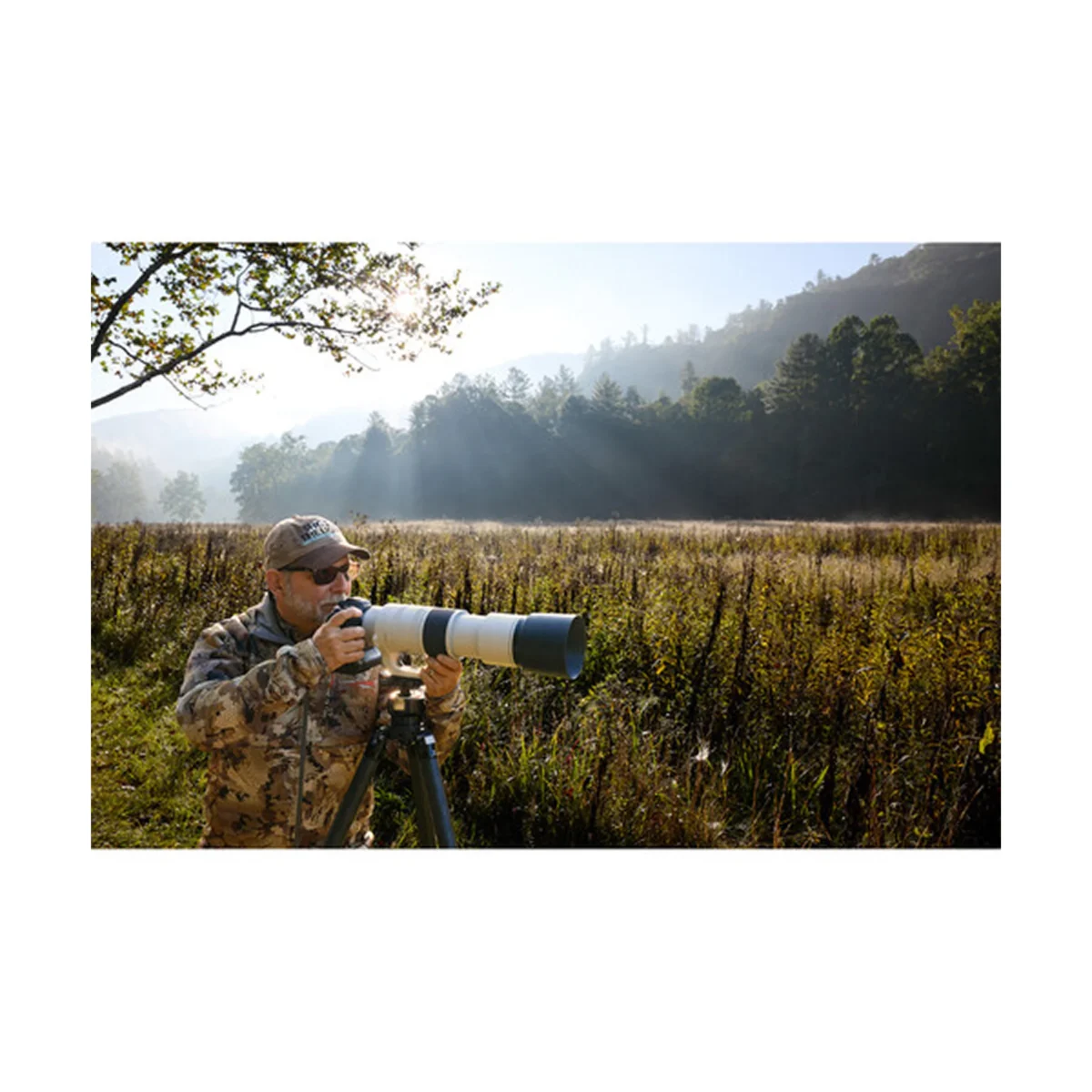 Canon RF 200-800mm F/6.3-9 IS USM Lens - Image 2