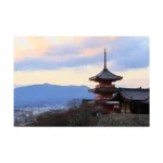 Canon RF-S 18-150mm F/3.5-6.3 IS STM Lens - Image 2