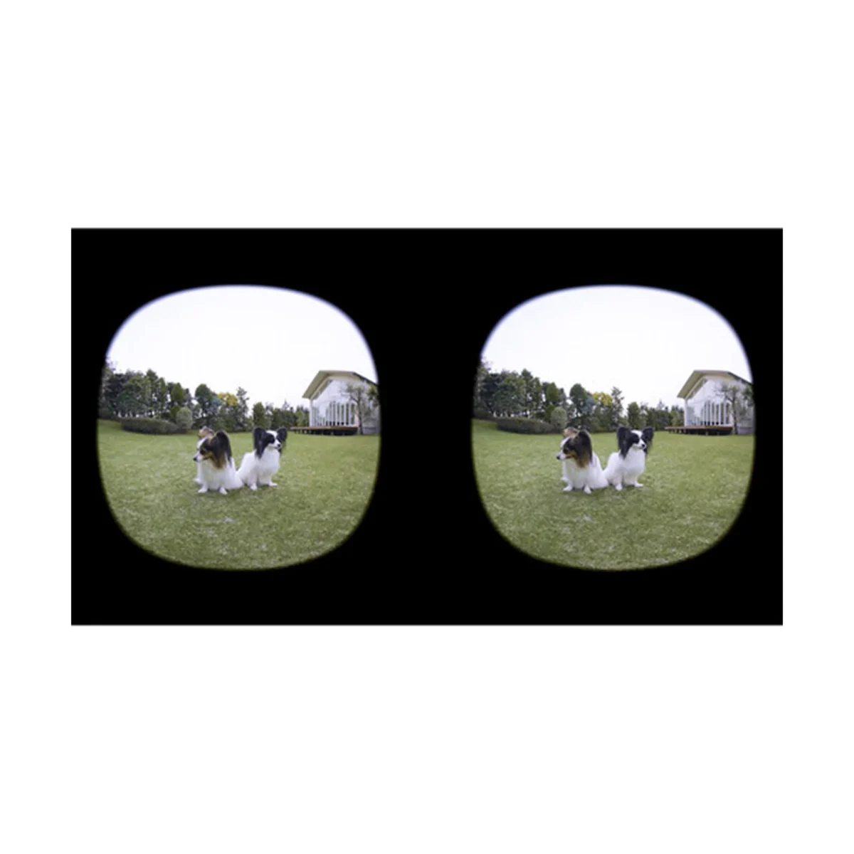Canon RF-S 3.9mm F/3.5 STM Dual Fisheye Lens - Image 3