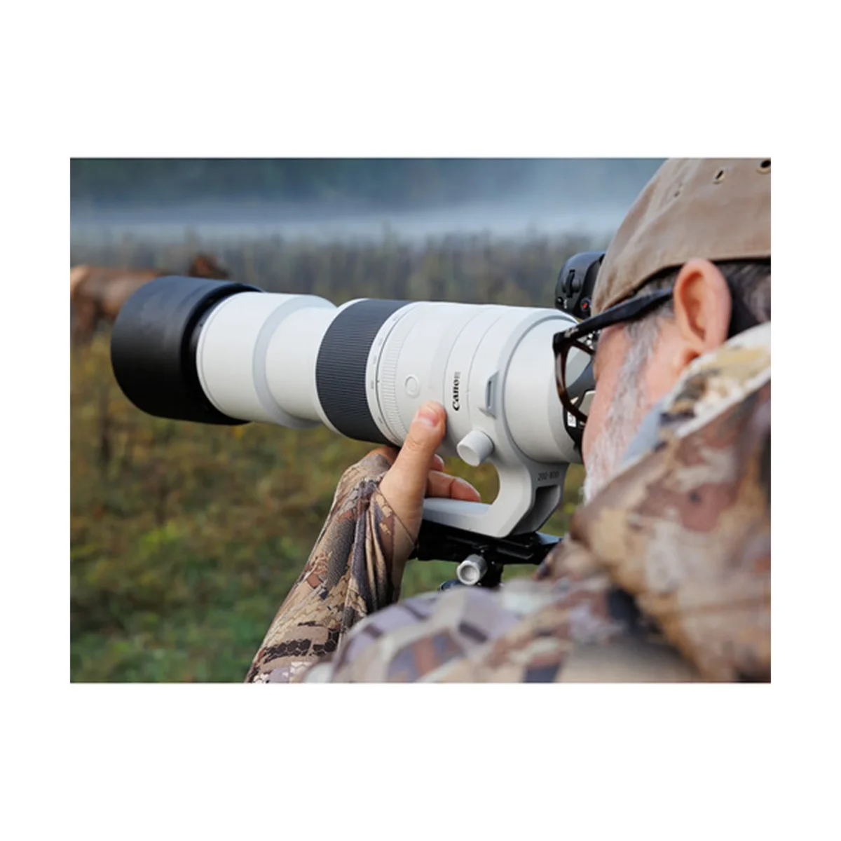 Canon RF 200-800mm F/6.3-9 IS USM Lens - Image 9