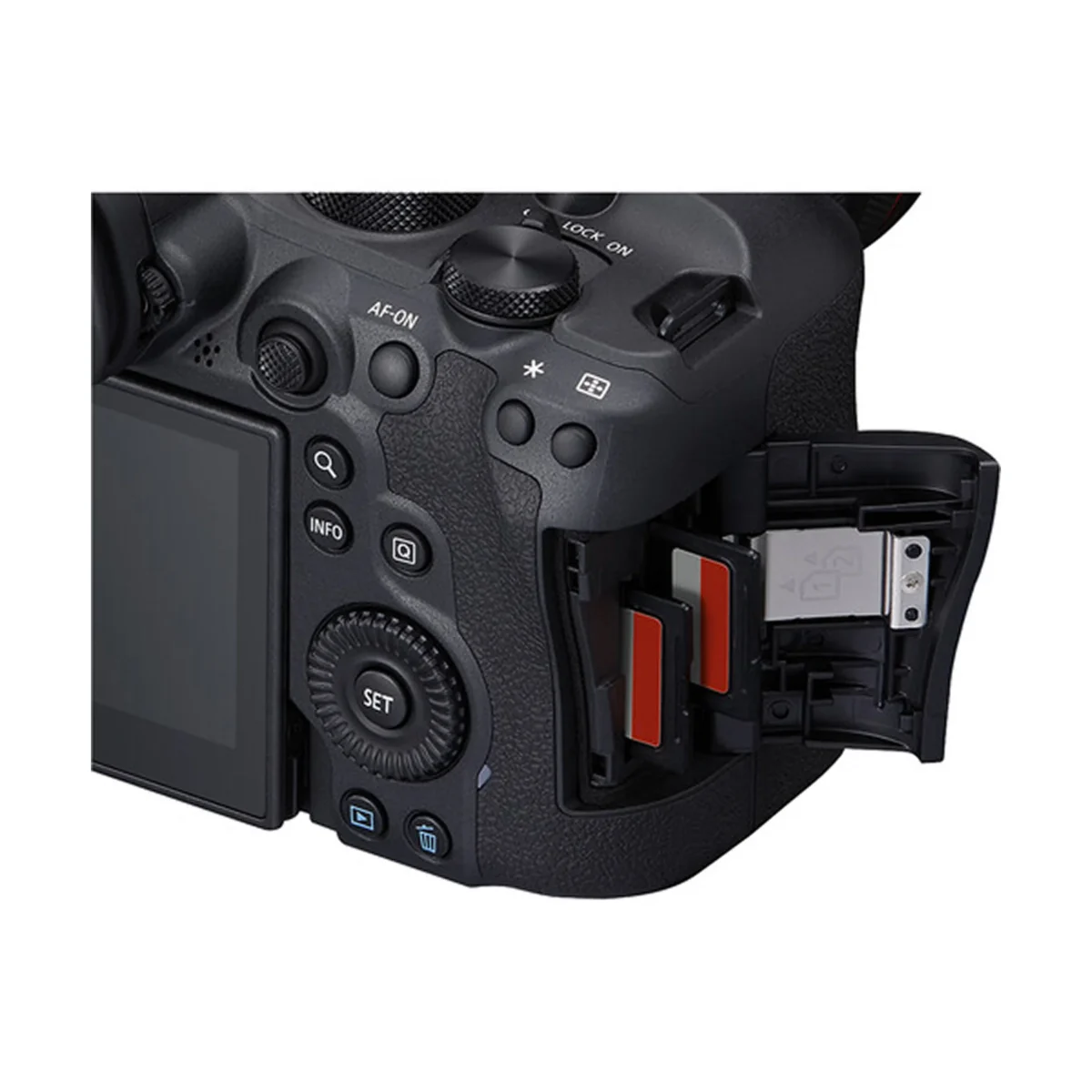Canon EOS R6 Mark II with RF 24-105mm F/4-7.1 IS STM Lens - Image 3