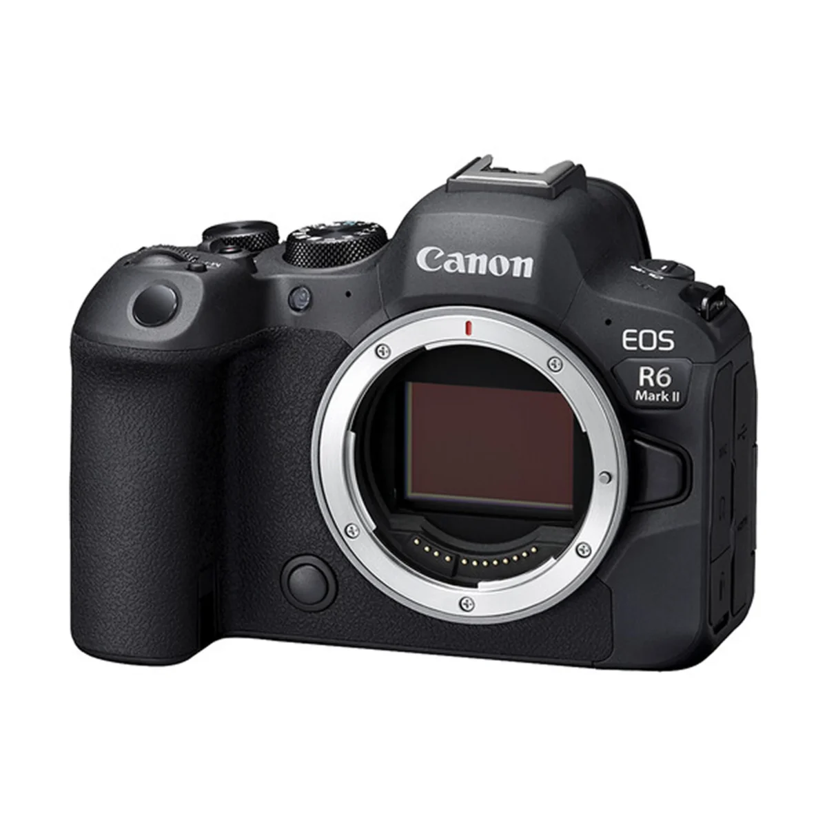 Canon EOS R6 Mark II Body 24MP Full-Frame Mirrorless Camera 4K 60p - Image 7