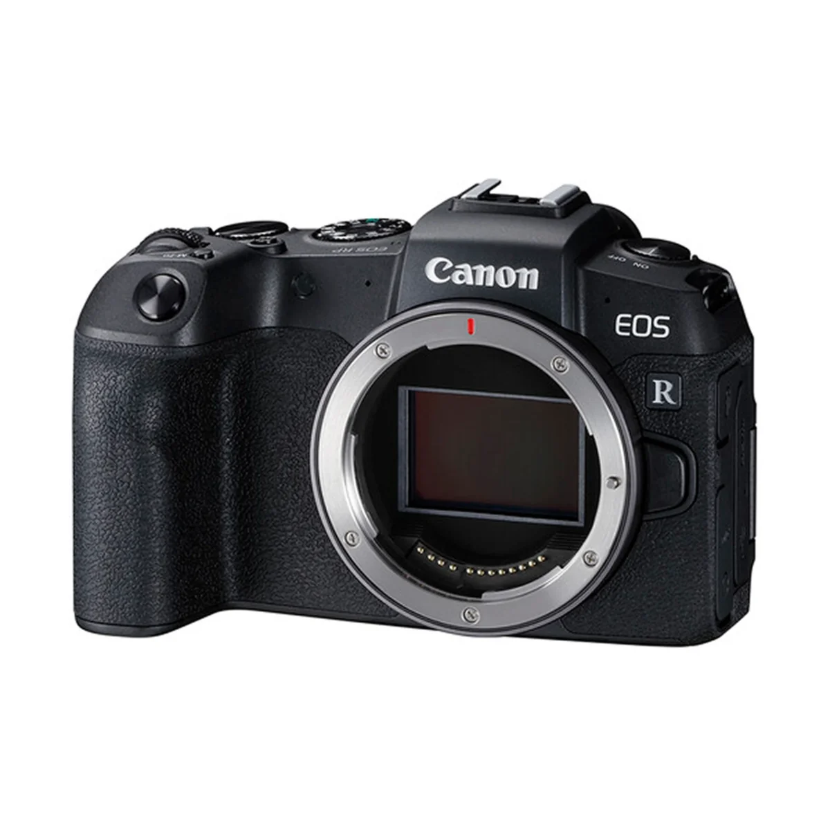 Canon EOS RP with RF 24-105mm F/4-7.1 IS STM Lens (Without R Adapter) - Image 4