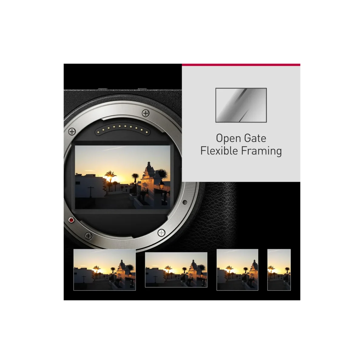 Lumix DC-S9N Pink