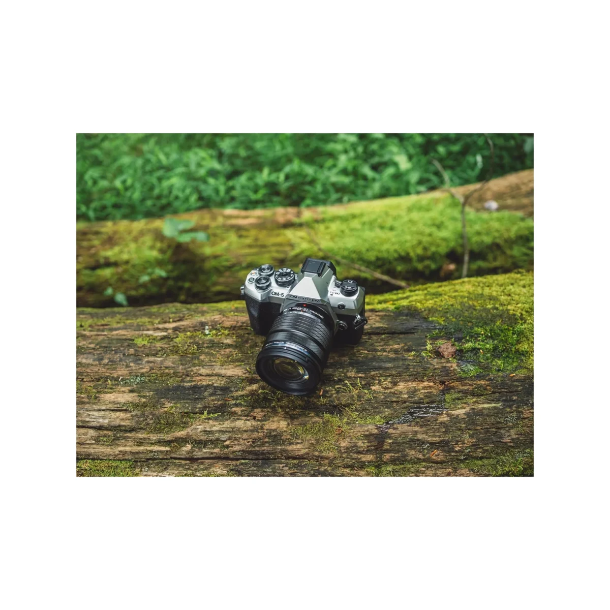 OM System OM-5 Mark II Silver 20MP Micro Four Thirds Camera with 12-45mm f/4 PRO Lens - Image 3