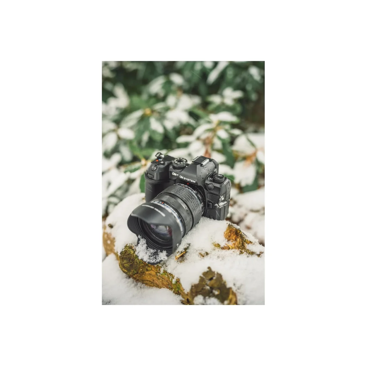 OM System OM-1 Mark II Mirrorless Camera with 12-40mm F/2.8 Pro II Lens - Image 4