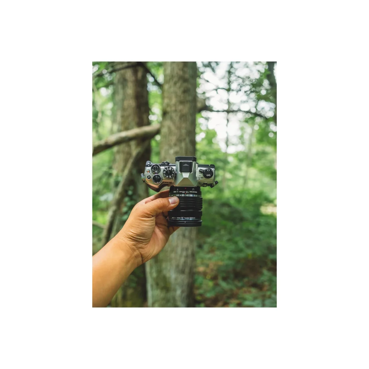 OM System OM-5 Mark II Silver 20MP Micro Four Thirds Camera with 12-45mm f/4 PRO Lens - Image 4