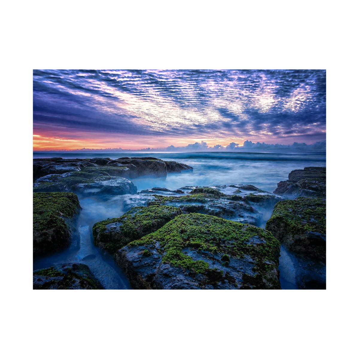 Olympus M.Zuiko ED 12mm F2.0 (Silver) - Image 5