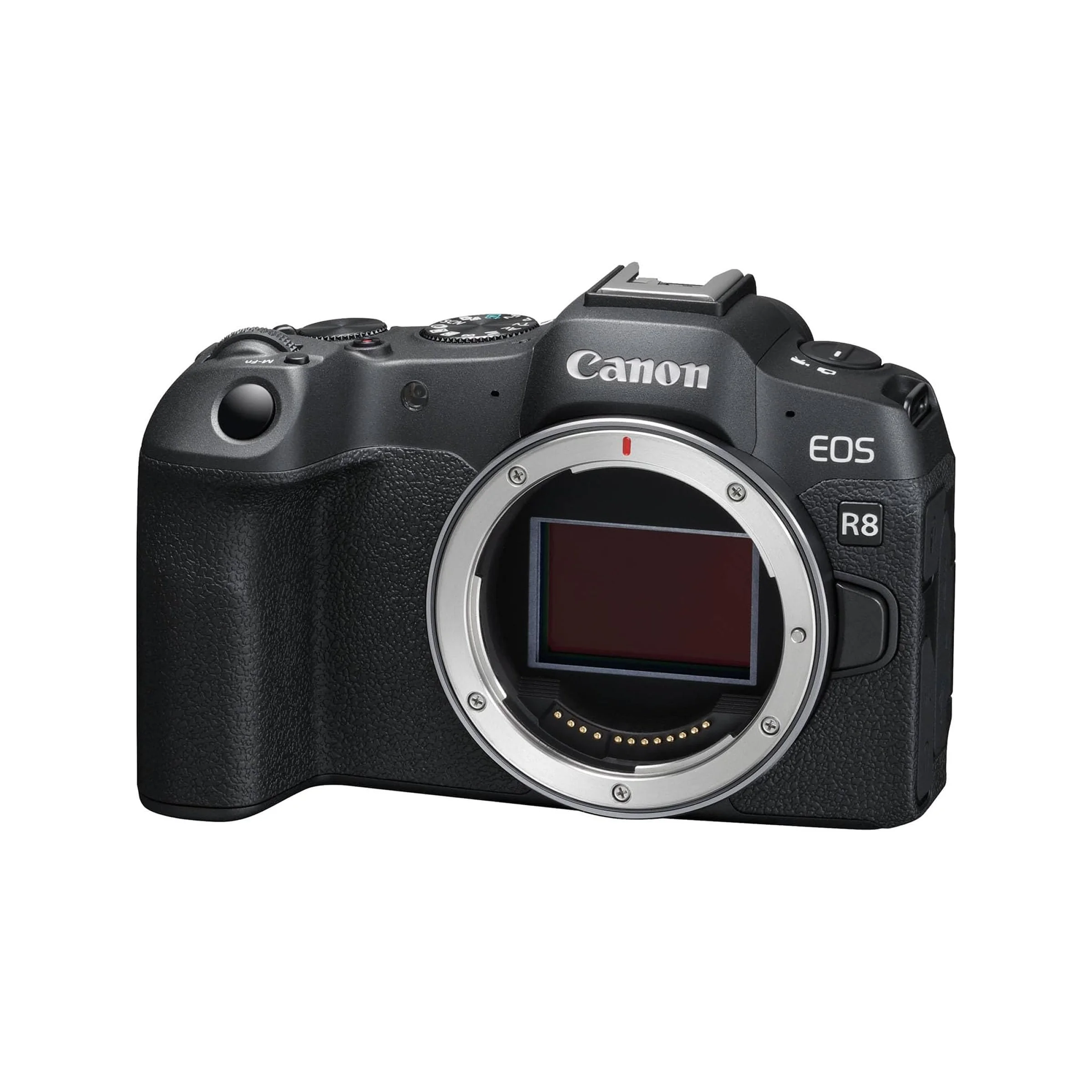 A - 2026-05-22T121405.679 Canon EOS R8 with RF 24-105mm F4-7.1 IS STM - Image 1