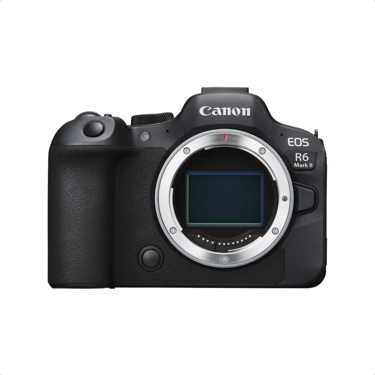 Canon EOS R6 Mark II with RF 24-105mm f/4L IS USM Lens - Image 3