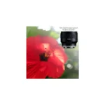 Tamron 24mm f/2.8 Di III OSD Lens F051 (Sony E) - Image 2