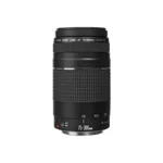 Canon EOS R8 with RF 24-105mm F4-7.1 IS STM - Image 2