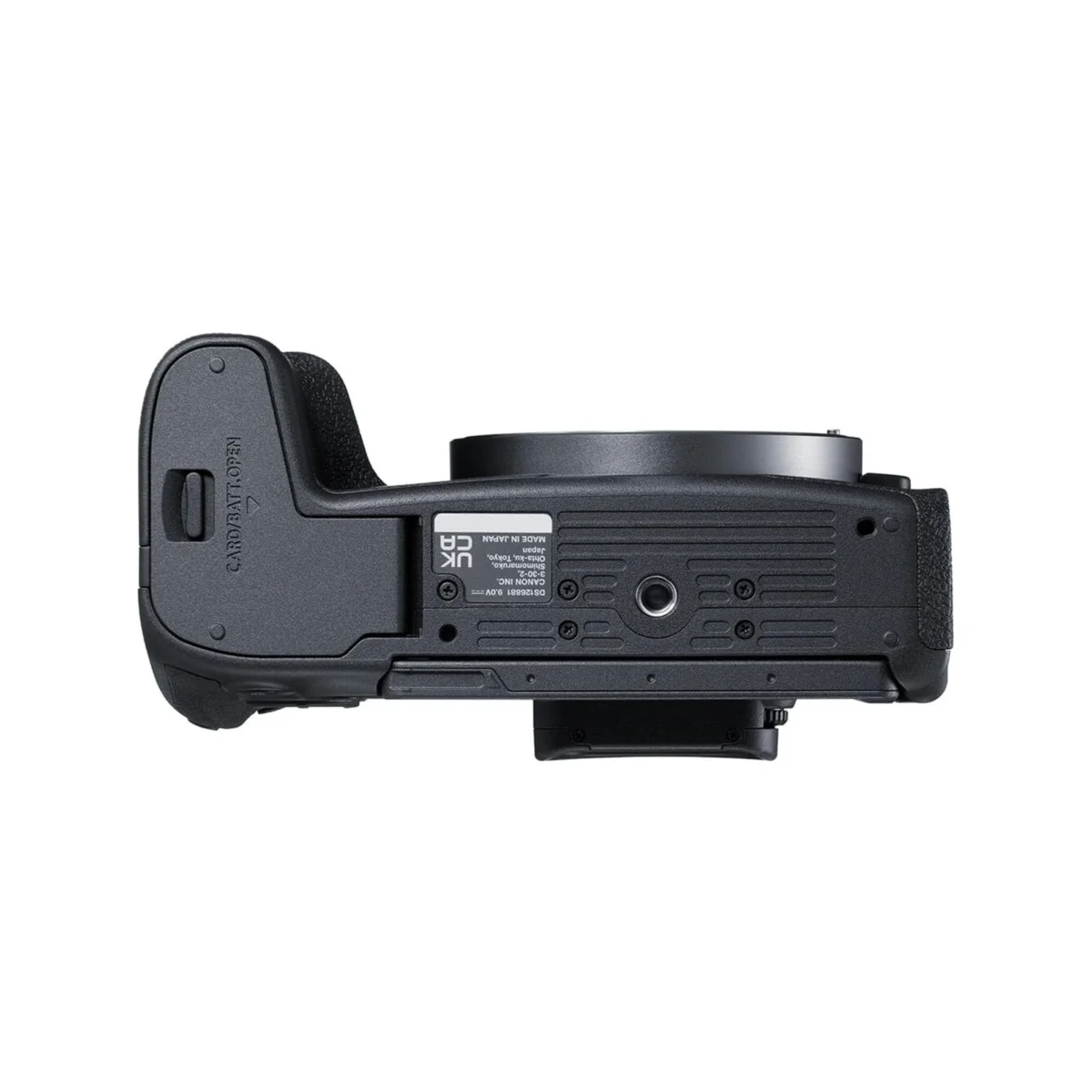 Canon EOS R8 with RF 24-105mm F4-7.1 IS STM - Image 5