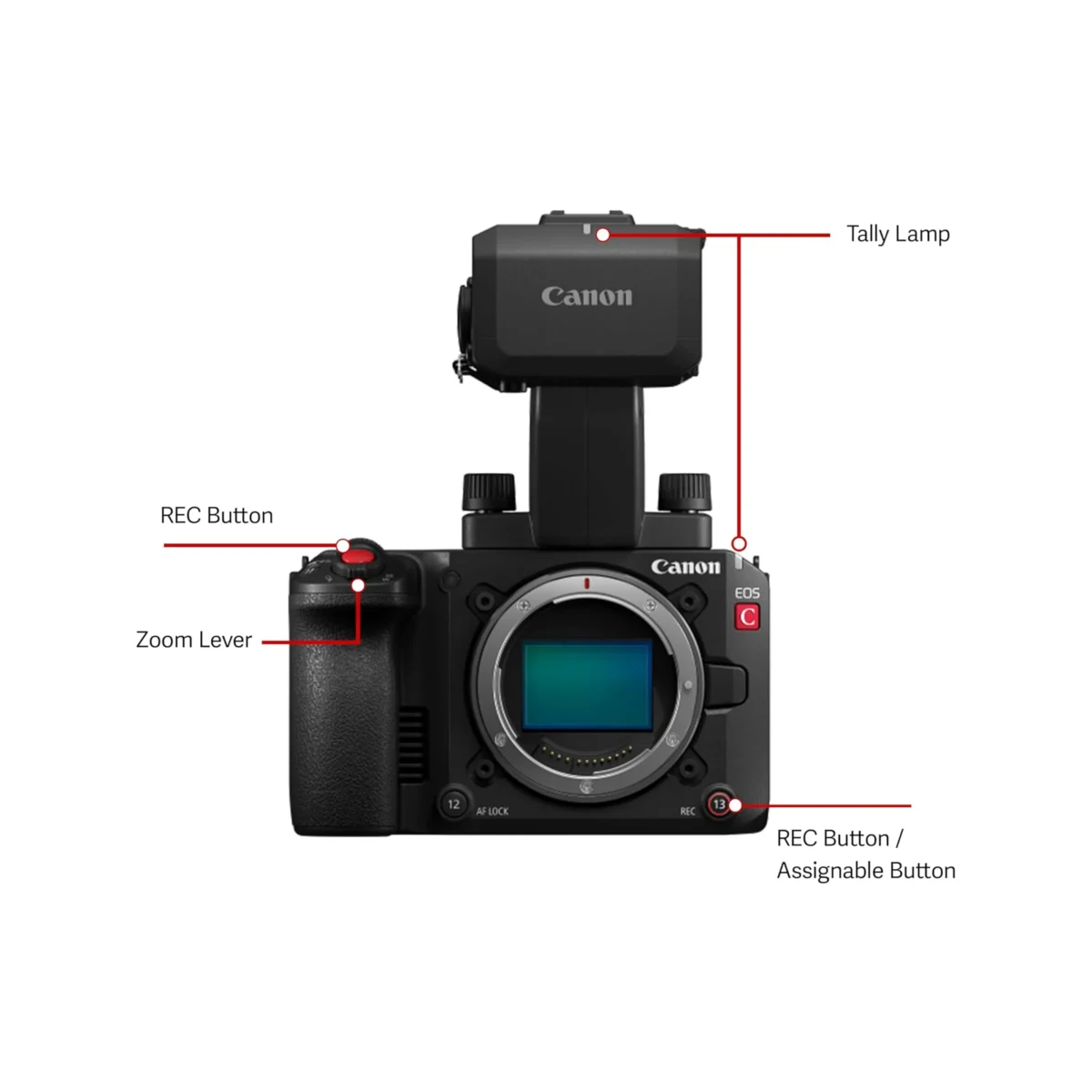Canon EOS C50 Full-Frame Cinema Camera (Canon RF) - Image 3