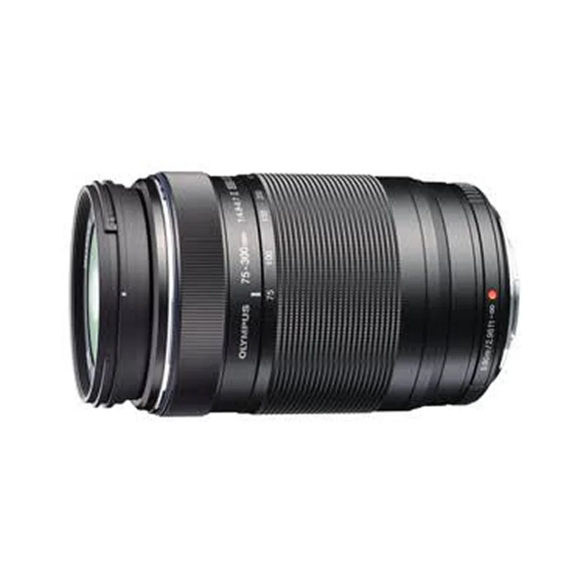 Olympus M.Zuiko ED 75-300mm f4.8-6.7 II - Image 5